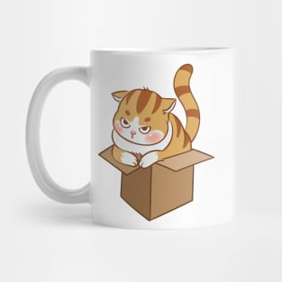 Orange cat in the box Mug